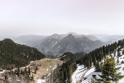 白天，树、草和雪覆盖着田野